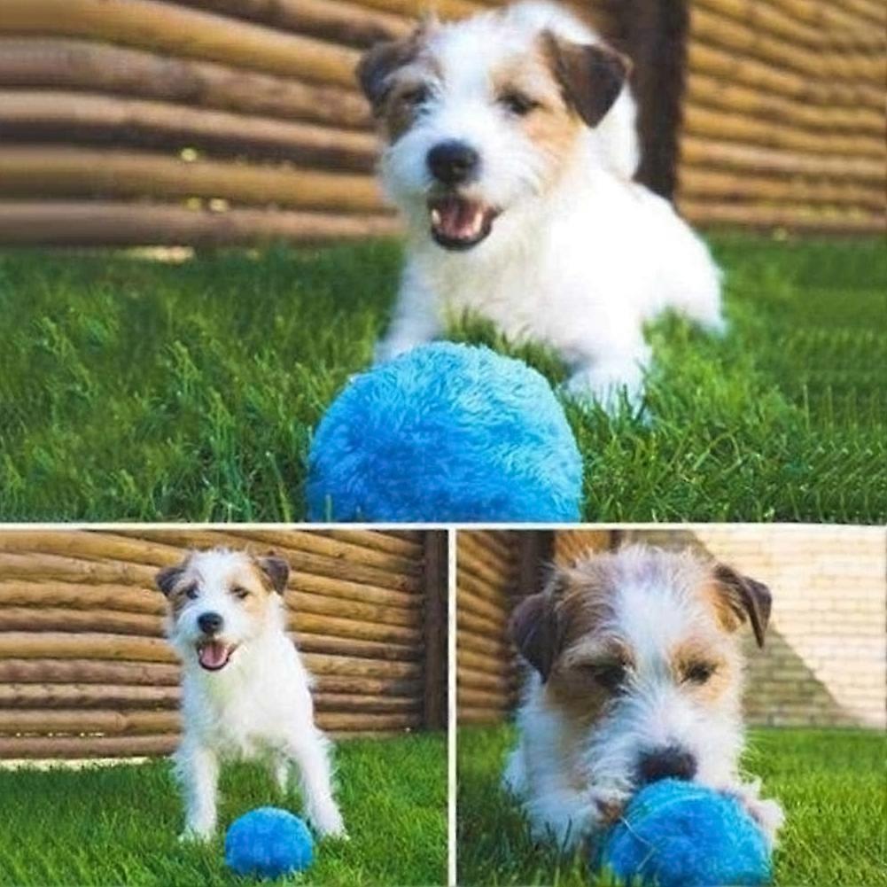 Practical and safe magic ball toy, interactive toy for dogs and cats