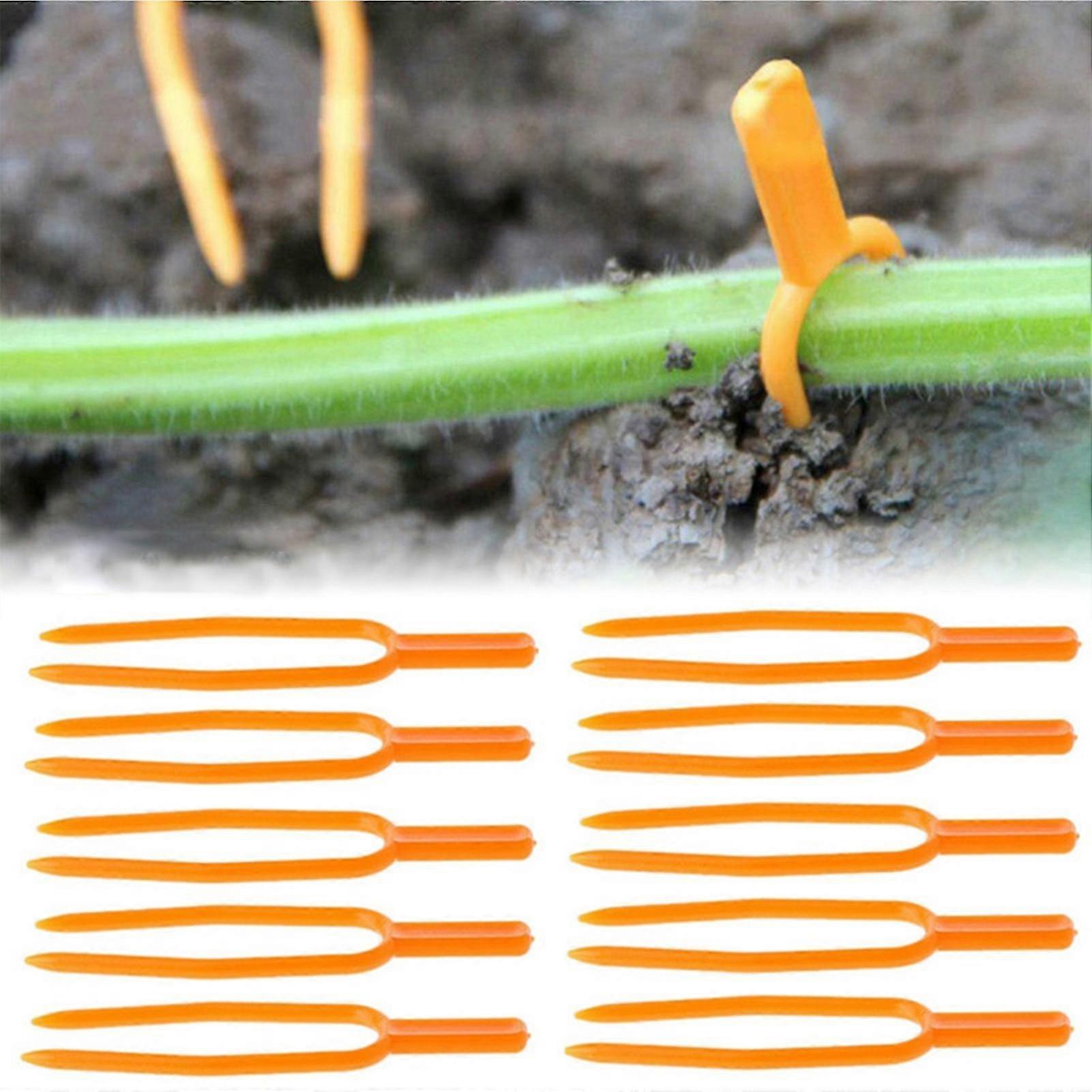 100pcs Plant Stolon Clip Anti-winding Sharp Tip 2-Forks Watermelon Strawberry Retaining Clamp