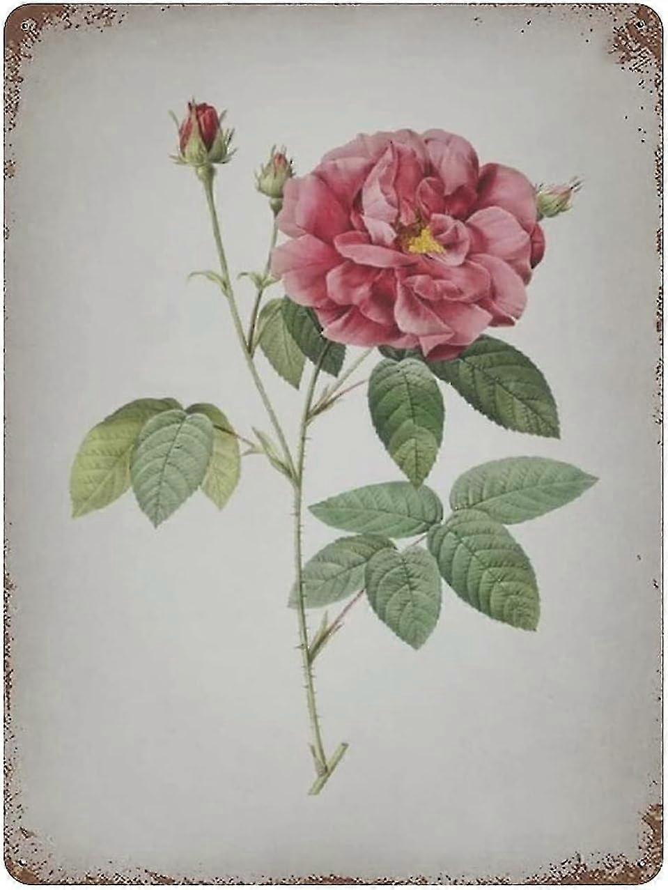 Placa de Metal Blooming Provins Rose Decoração 8x12 Polegadas OU 12x16 Polegadas Modo 1757