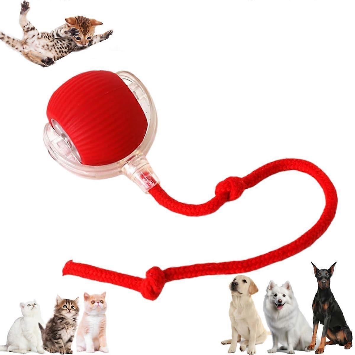 Interactive Dog and Cat Toy - Viral Smart Automatic Rolling Ball for Pets - Electric 360 Degree Fast Rolling Pet Ball