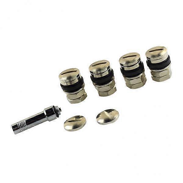 2 Tire Valve Dust Kit