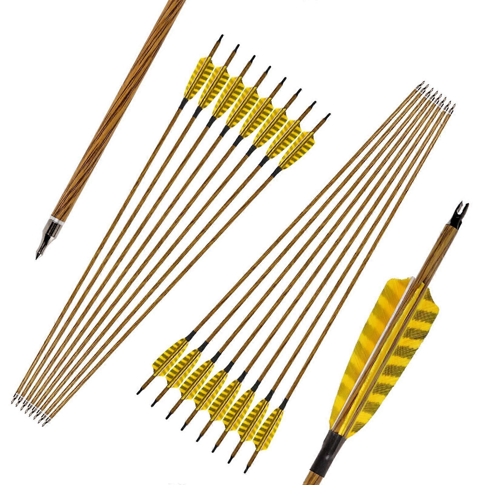 31 Inch Carbon Arrows Spine 500 with 4 Inch Turkey Feathers (Pack of 12)