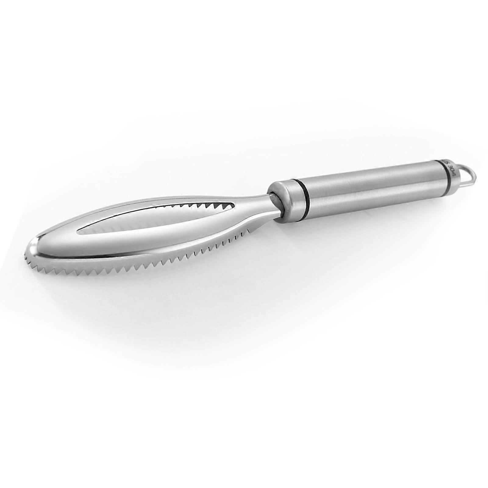 Fischskala Schaber - Multifunctional Stainless Steel Measuring Tool for Fish Scaling, 31cm Length, Ergonomic Design