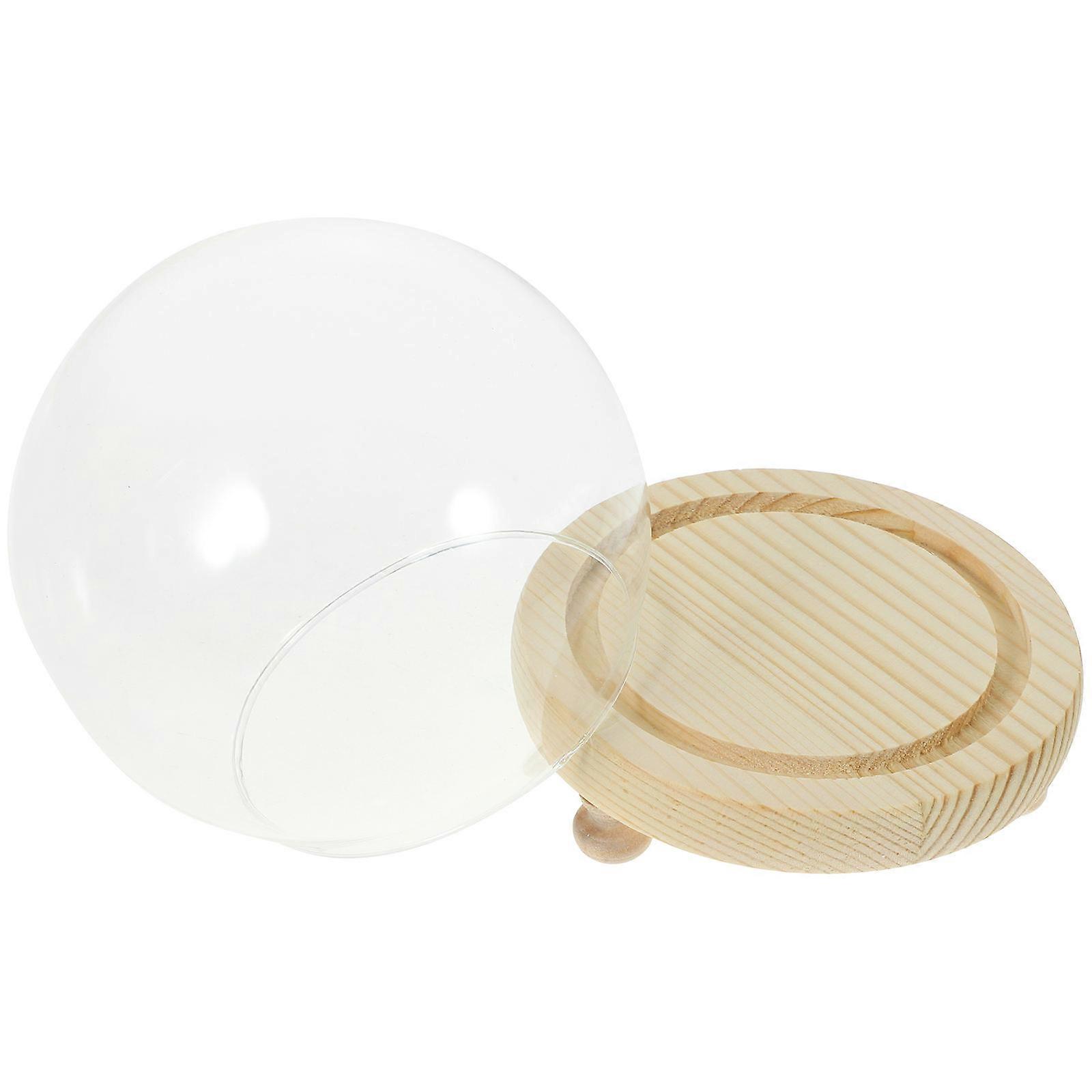Plant Dome Glass Display Case for Home Use 3Pcs Miniature Round Domes