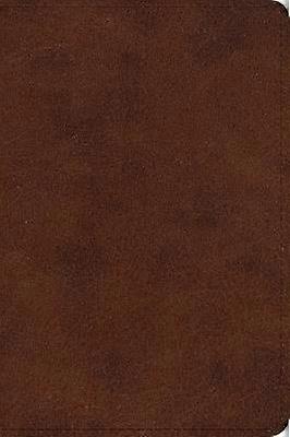 ESV Large Print Bible (TruTone Deep Brown)