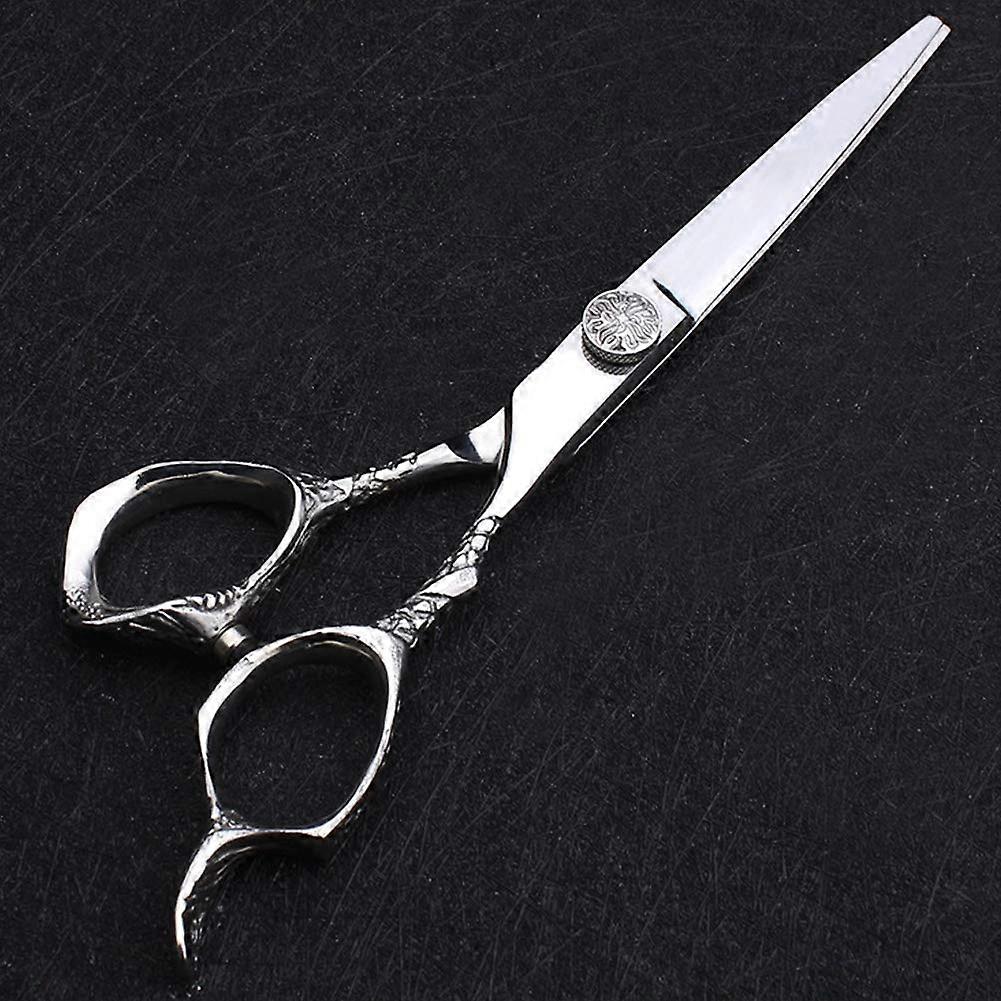 Professional Hair Cutting Scissors Kit with Thinning Shears for Precise Styling, Silver Finish