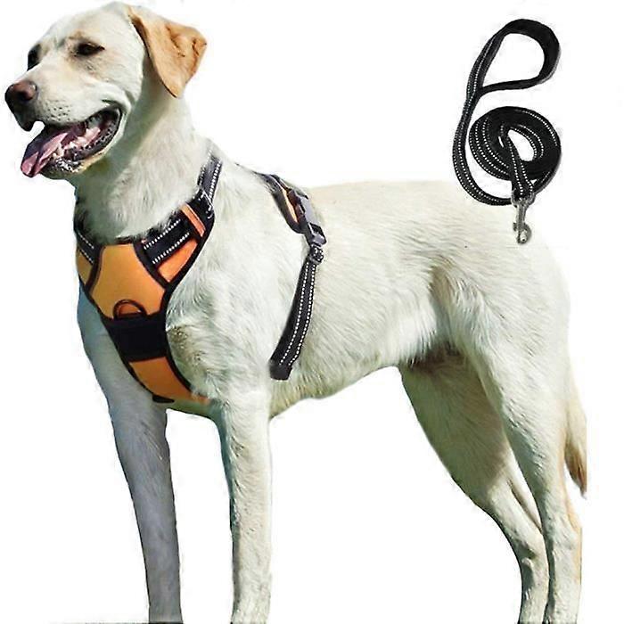 Anti-Pull Harness - BIGILANTUH - M - Reflective - Breathable - Durable