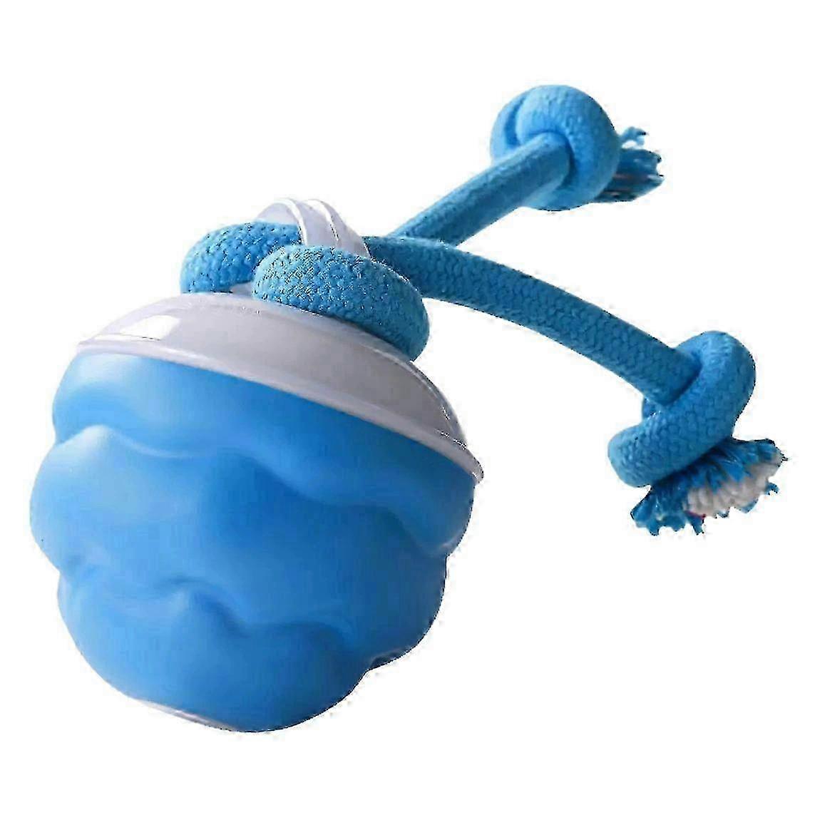 Rechargeable Motion-Activated Dog Ball