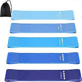 Resistance Band Set Van 5, Weerstandsbanden Met Oefeninstructies En Draagtas