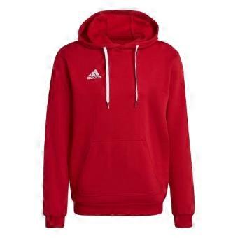 Adidas Mens Entrada 22 Hoodie