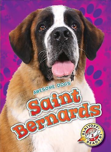Saint Bernards - Nathan Sommer
