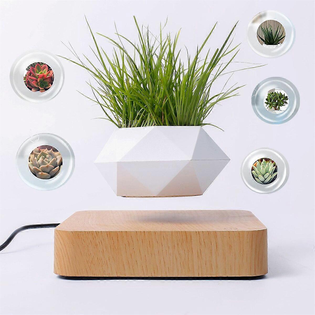 ZK- Levitating Floating Magnetic Flower Pot, Air Bonsai, Plant Vase, 360 Degree Rotation, Potted Planter for Office and Home Decor(Light Color)