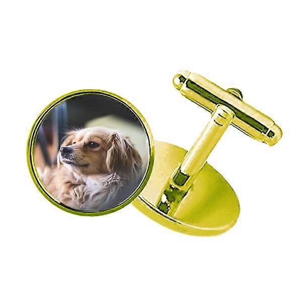 犬小動物孤独な写真スタッズビジネスメタルカフリンクスゴールデン