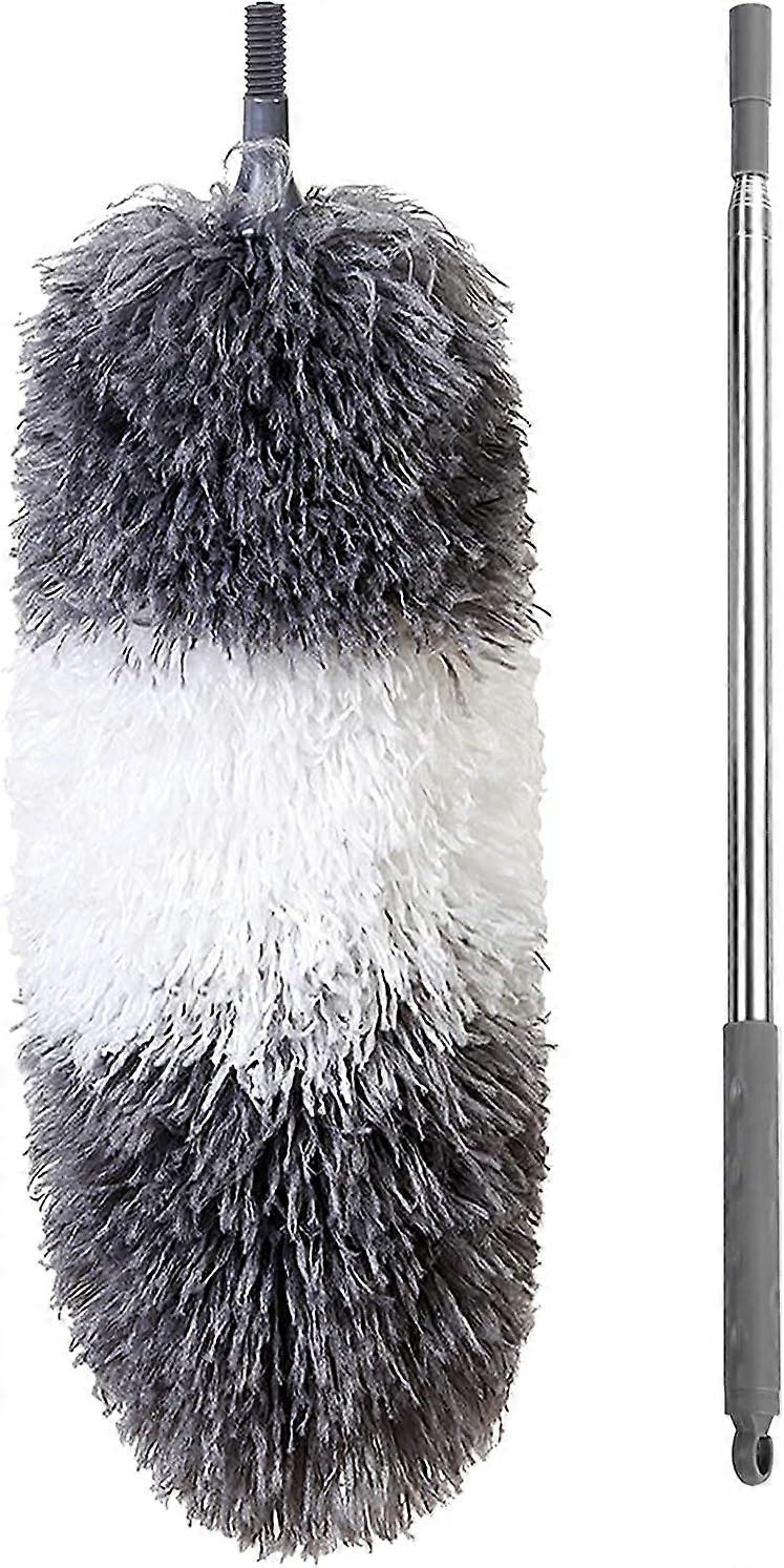 Telescopic Duster Kit, Spider Web Dust Duster, Wolf Head 252CM Washable Foldable Head