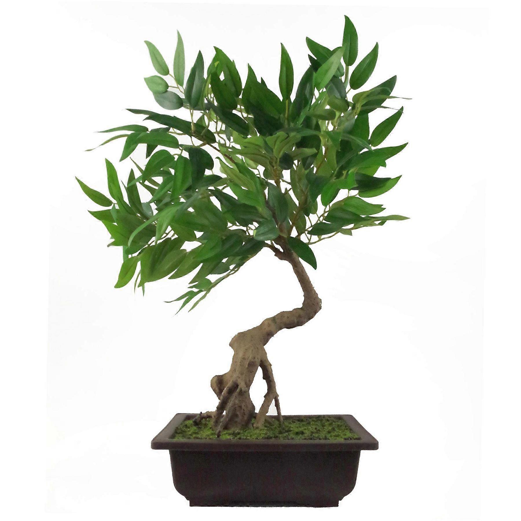 50cm Artificial Ruscus Acacia Bonsai Tree