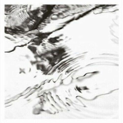 スティーブ・ローデンMachinefabriek Lichtung CD (2012)