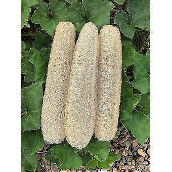 Natural Bath Loofahs Sponges Large Organic Luffa Shower Sponges Skin Body Back Exfoliating Scrubber For Daily Personal Care (3 Pack)