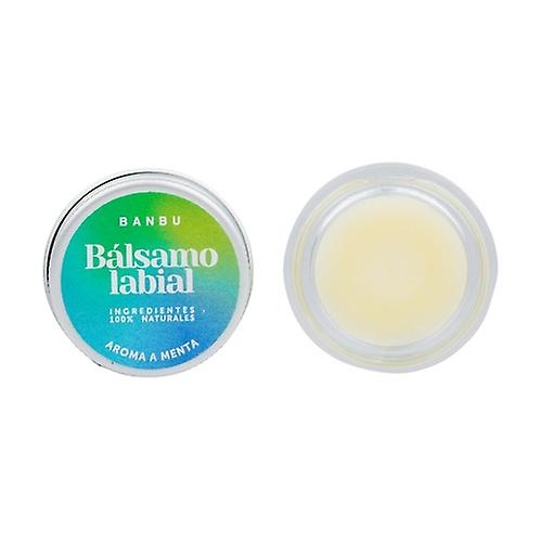 Mint lip balm 5 g (Mint)