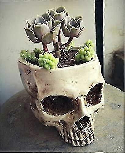 合成樹脂製ハロウィンスカル植木鉢