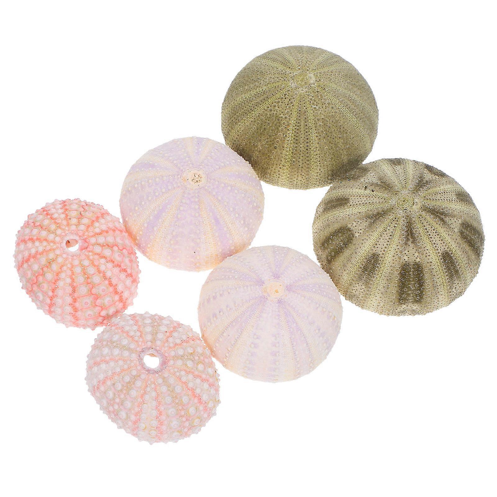 Desktop Decors Sea Urchin Aquarium Decorations for Decor 24Pcs Assorted