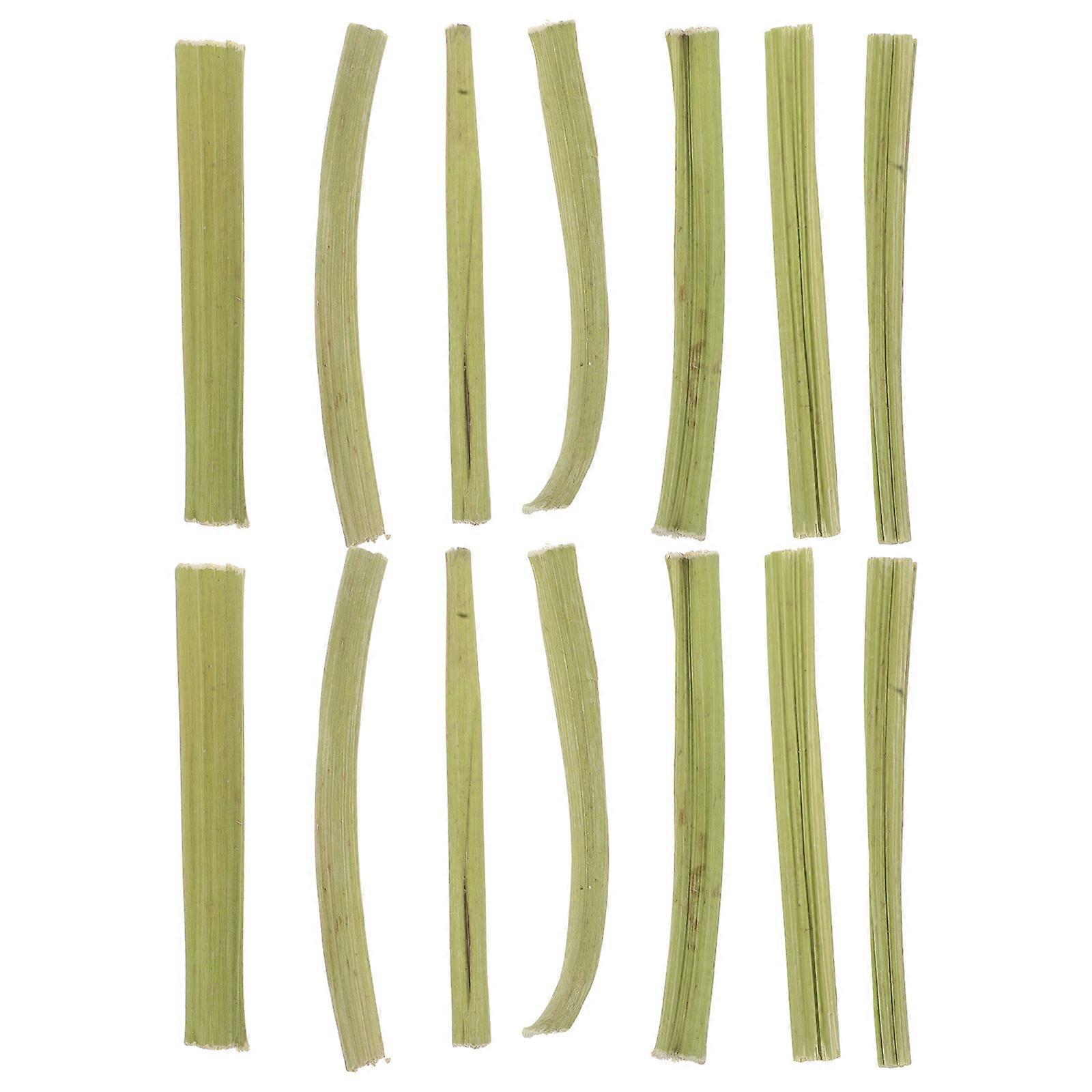 Stem Chew Sticks Bunny Treats for Small Pets 1Set