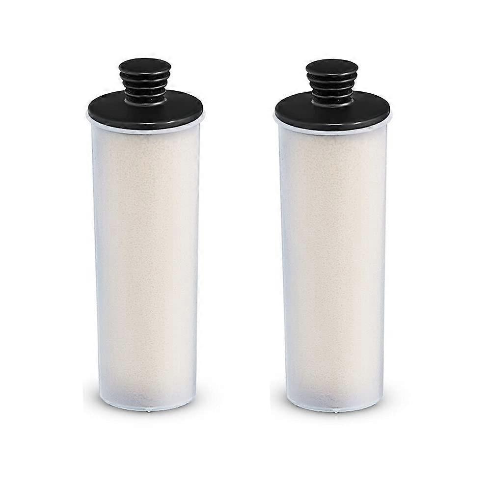 Steam Cleaner Purifier Descaling Cartridge for SC2 SC3,  Straight Clean Descaling Filter, 2 Pieces