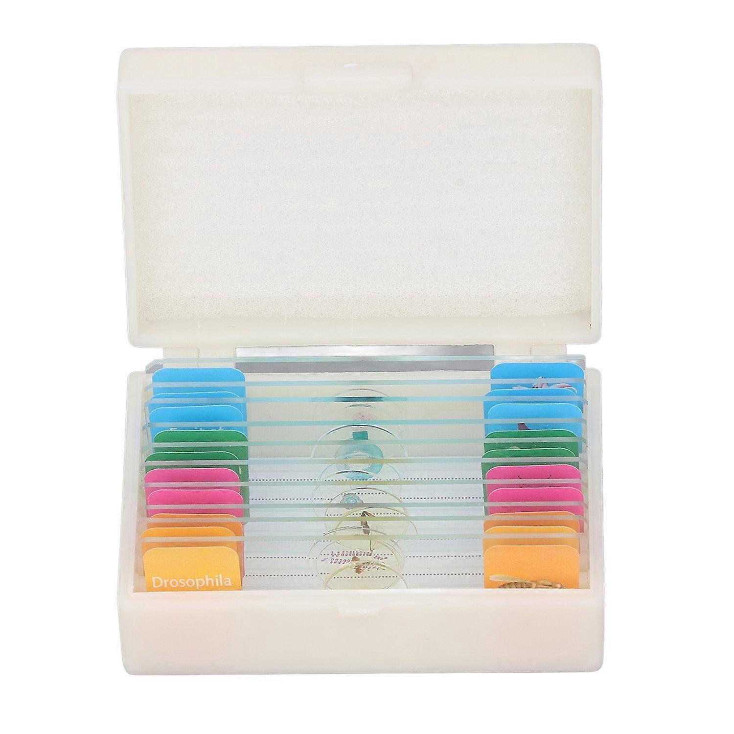 10Pcs Microscope Slides with Specimens Animal Plant Bug Glass Slides Laboratory Supplies for Observa