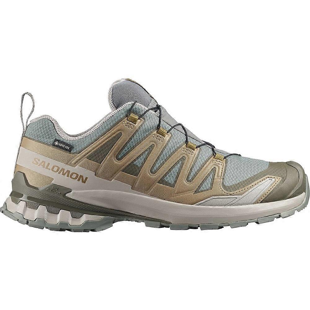 Shoes Salomon L49229600000