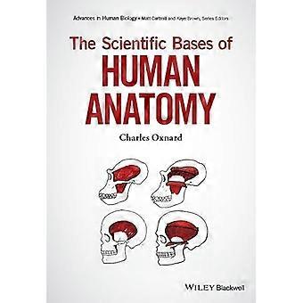 Wissenschaftliche Grundlagen der menschlichen Anatomie: Entwicklungs-, Funktions- und Evolutionsgrundlagen (Fortschritte in der Humanbiologie)