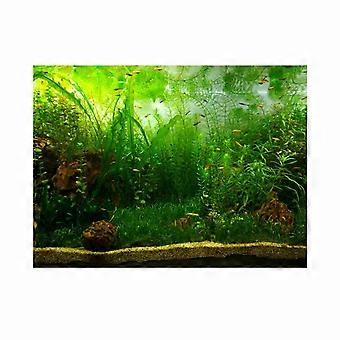 Water Grass Style Aquarium Fish Tank Background Poster PVC Adhesive Decor Paper (61*41cm)