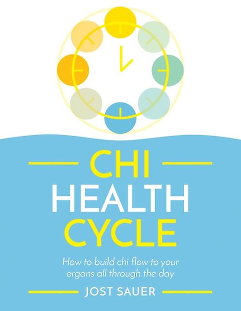 Chi Health Cycle by Jost Sauer Paperback Book