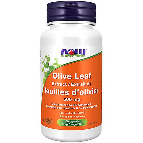 Olive Leaf Extract 6%,500mg,60 VegCaps by Now (Pack of 2)