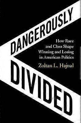 Dangerously Divided