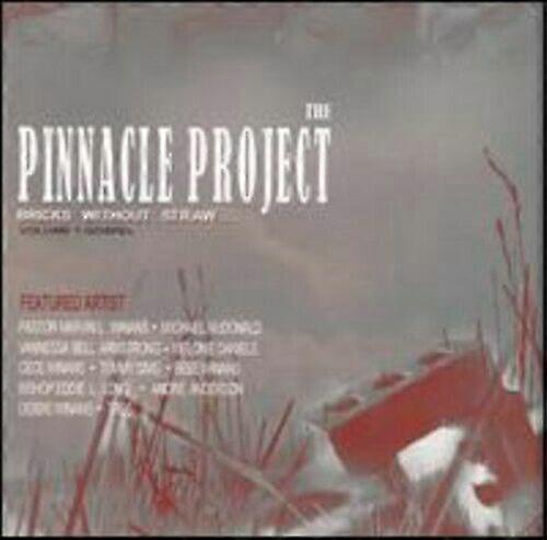 Pinnacle Project Bricks Without Straw 1 CD