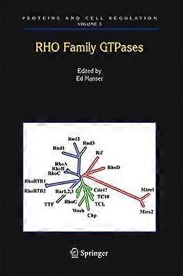 Rho Family GTPases