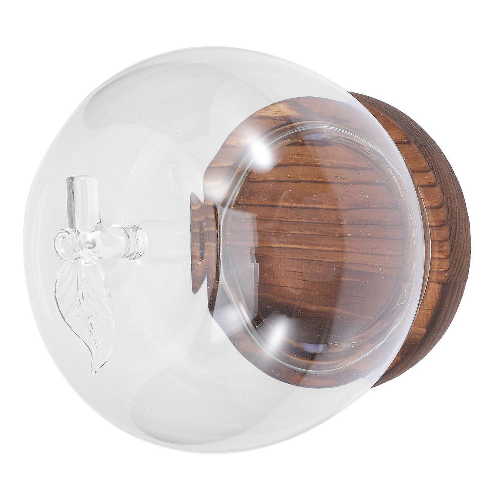 Transparent Glass Dome for Storage Use 3Pcs Apple Shape with Glowing Base