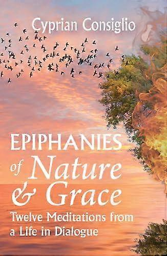 Epiphanies Of Nature And Grace by Cyprian Consiglio Paperback