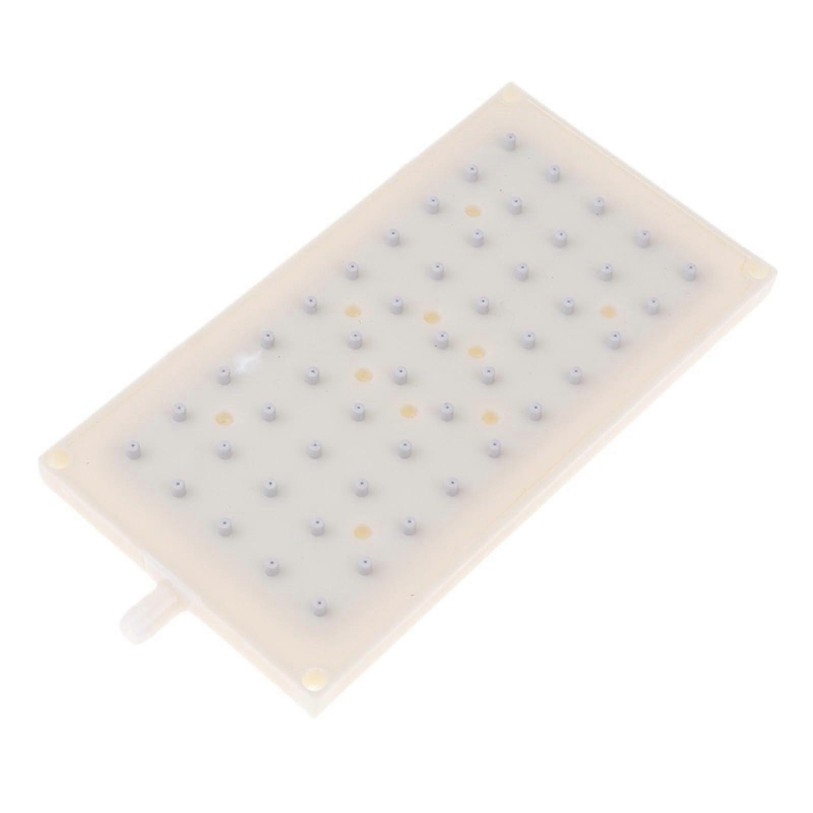 Handheld ABS Shower Head with 10mm Interface, Easy Installation and Comfortable Grip for Bathroom