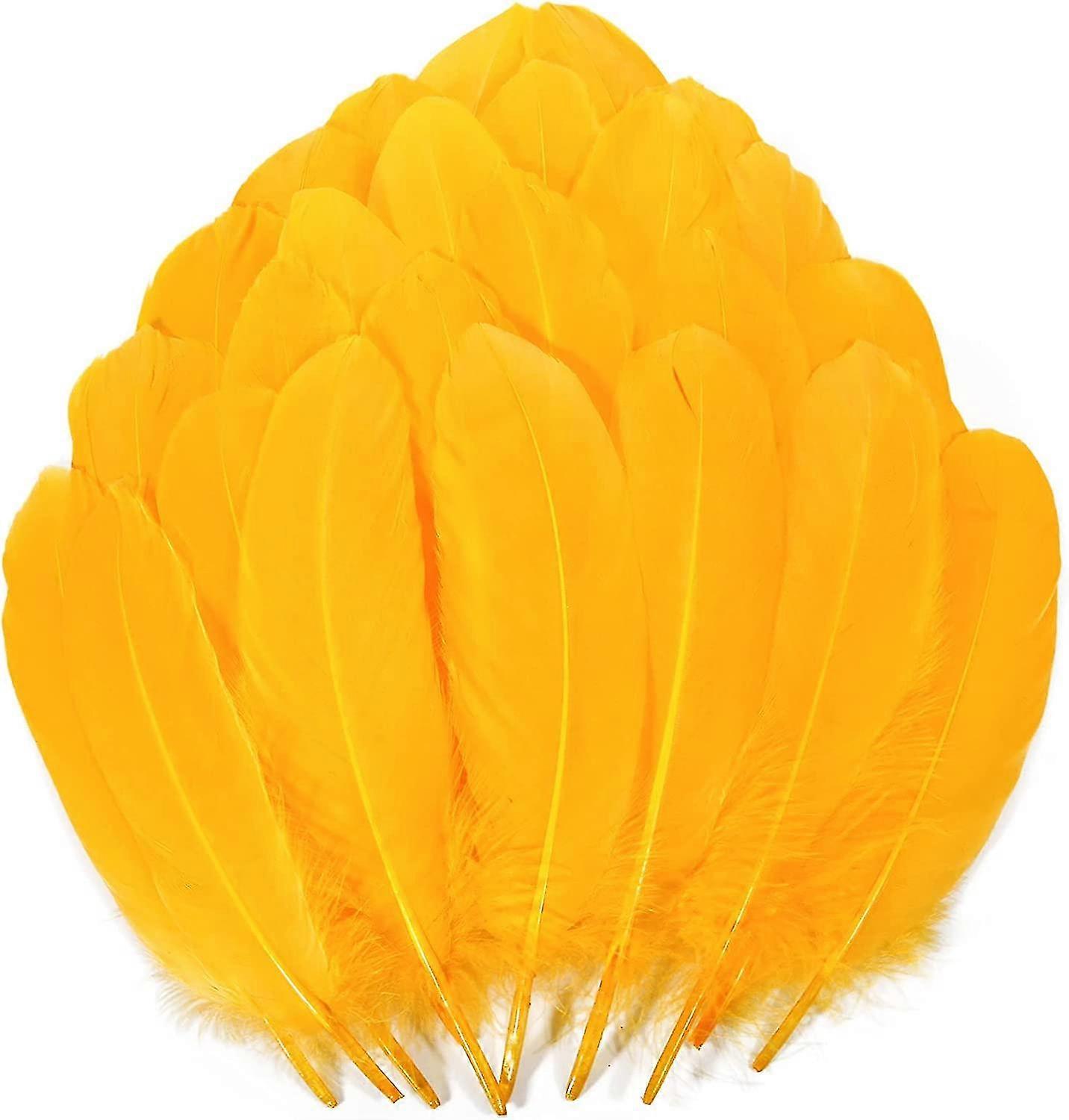 200pcs Goose Nagoire Feathers_mdcg