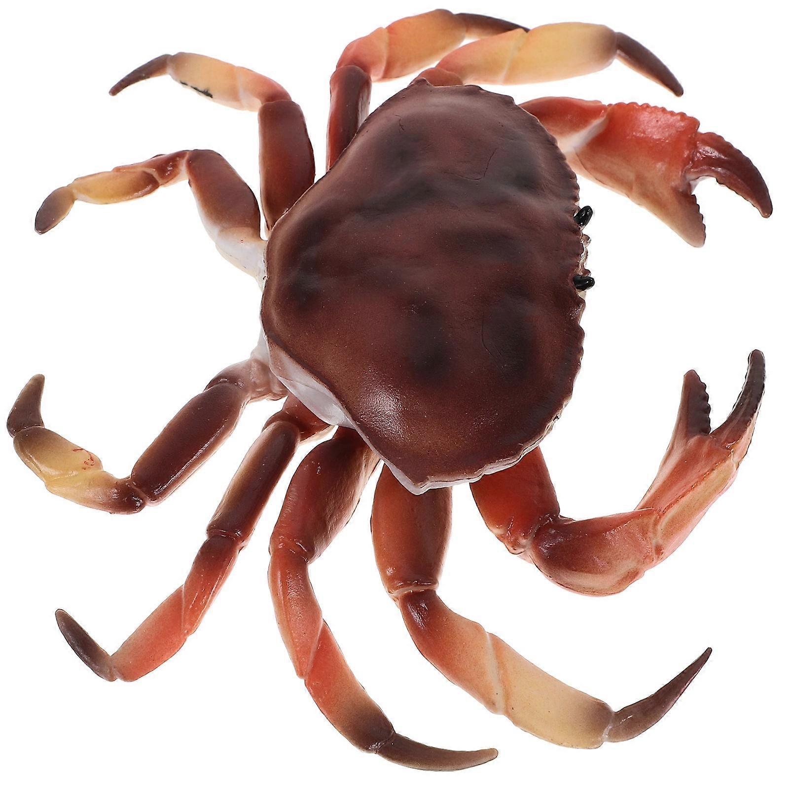 Realistic Simulation Crab Model Educational Plastic Simulated Crab Model Artificial Animal Model