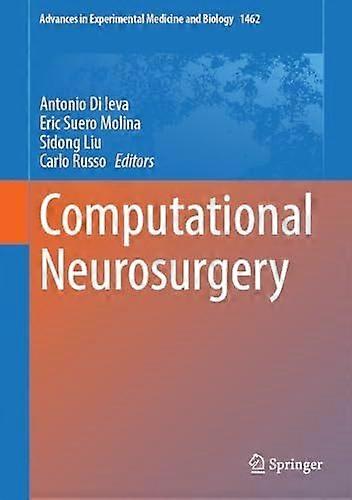 Computational neurosurgery