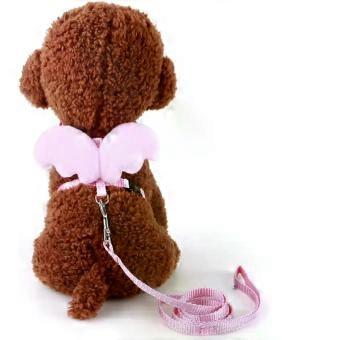 Adjustable Nylon Pet Chest Harness with Leash for Dogs and Puppies, Angel Wings Design, Comfortable Control and Adjustable Chest Strap for Everyday Wa