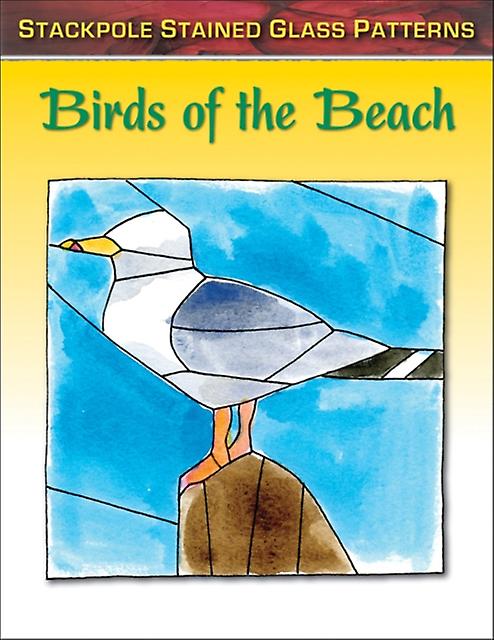 Birds Of The Beach by Sandy Allison Paperback