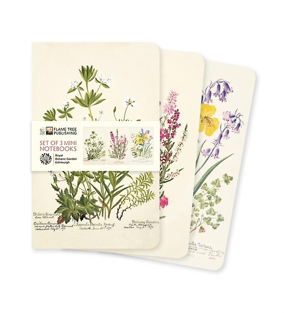Royal Botanic Garden Edinburgh Set Of 3 Mini Notebooks Paperback Book