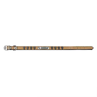 Verstelbare hondenhalsband PU lederen gegraveerde naamlabels schedel bezaaid met metalen gesp (beige S)