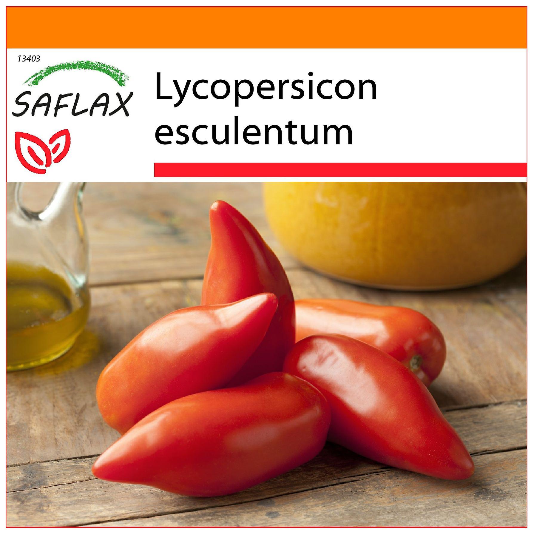 SAFLAX Confezione Regalo – Semi Di Pomodoro Pink Brandywine (10 Semi) – Lycopersicon Esculentum, Con Istruzioni E Substrato