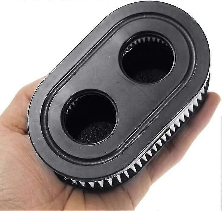 Engine Parts Air Filter  Walk-behind Lawn Mower(2pcs, Black)