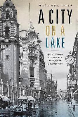 A City on a Lake