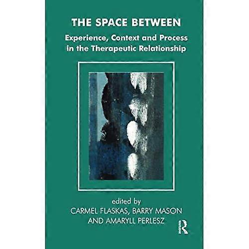 The Space Between: Experience, Context and the Process in the Therapeutic Relationship (Systemic Thinking & Practice)