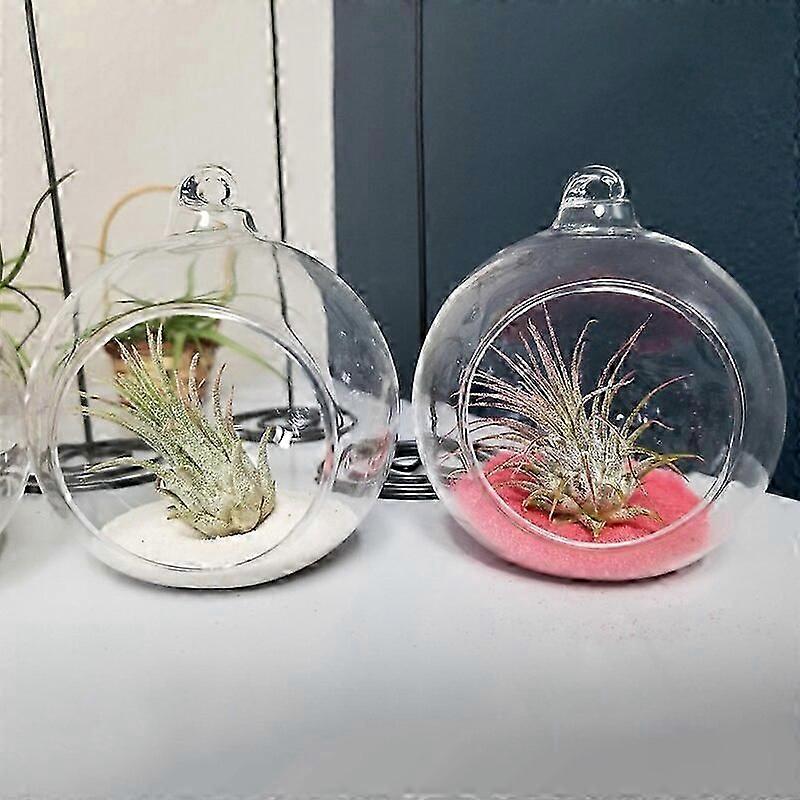 Glass Ball Terrarium Container Plant Terrariums Flower Hanging Planter Clear Wedding Decor Single Candle Holders Pots Planters